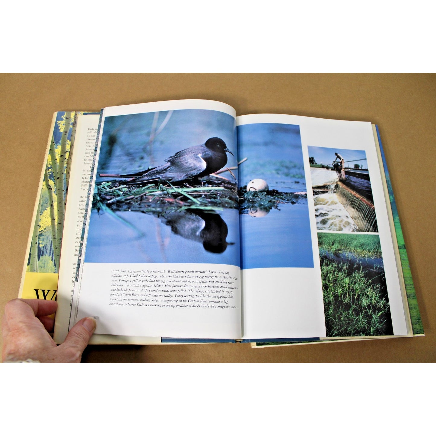 Lot of 3 National Geographic Books: America's Woodlands, Valleys, and Wetlands