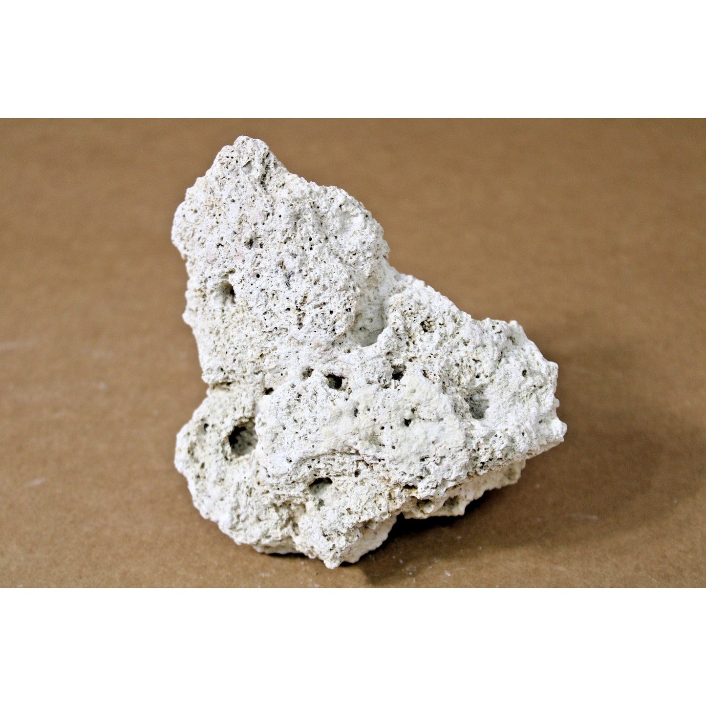 Biotite Mica in Volcanic Andesite Geologic Specimen, 6" x 5" x 3.5", 12 oz