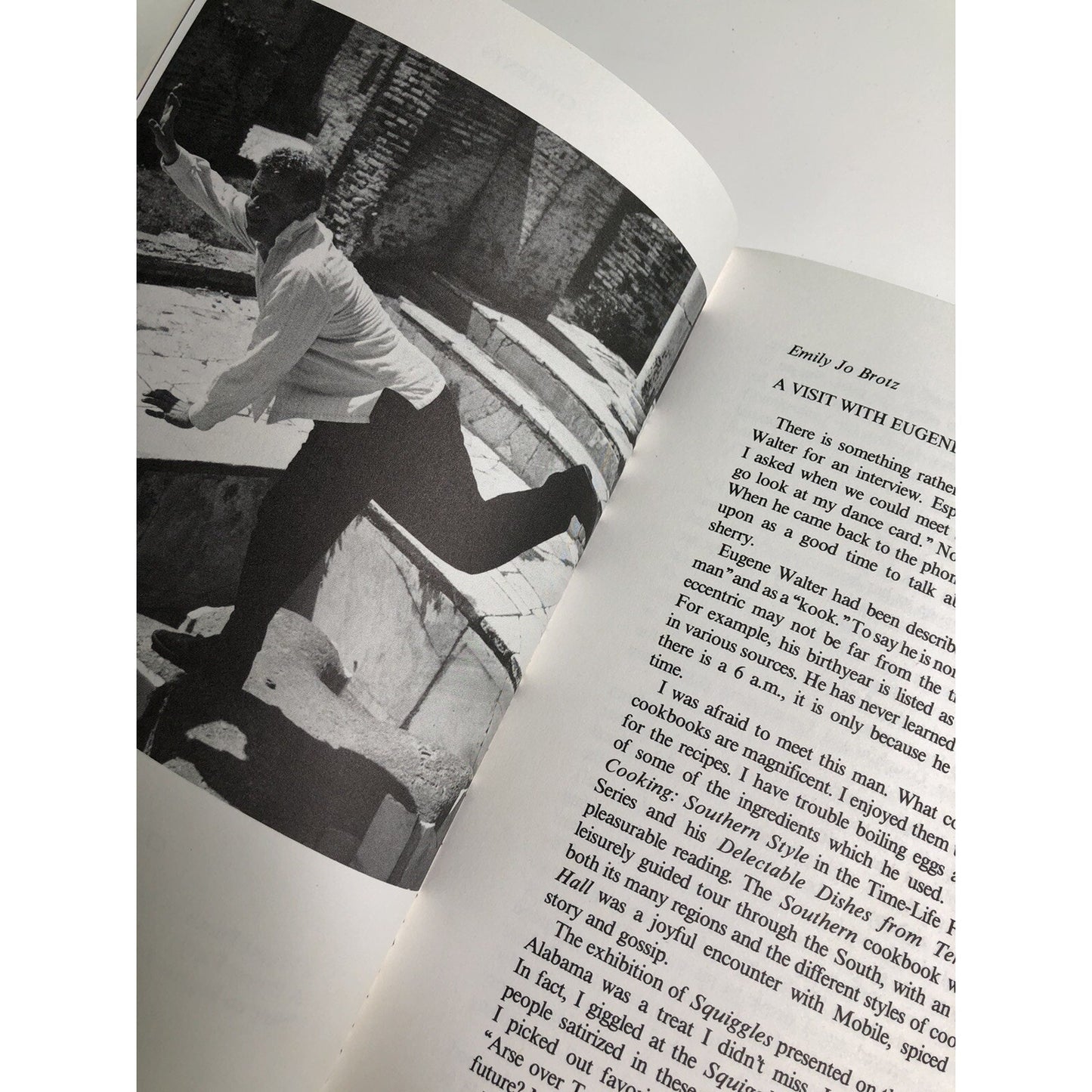 1988 Negative Capability Polyfarious EUGENE WALTER Mobile Alabama Illustrated