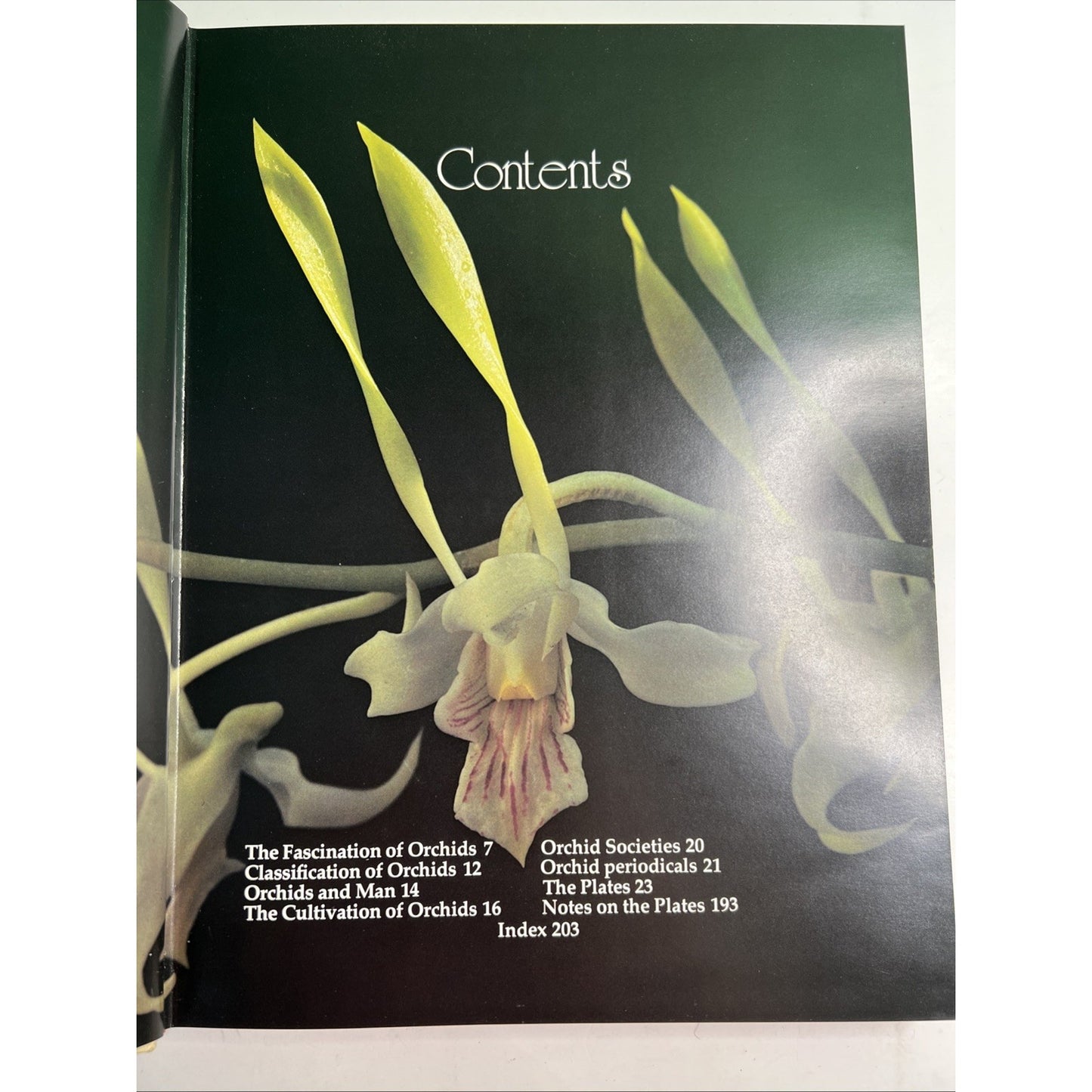 The Orchid by P F Hunt Photos by T Kijima 1978 First Edition HC DJ