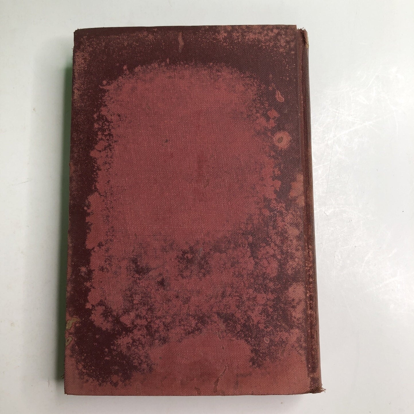 1925 Jungle Days by William Beebe Hardcover First Edition Illustrated