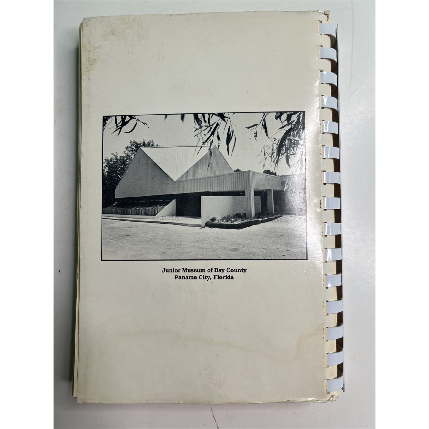 Thyme Waves Panama City Florida Junior Museum Guild Bay County Cookbook Recipes