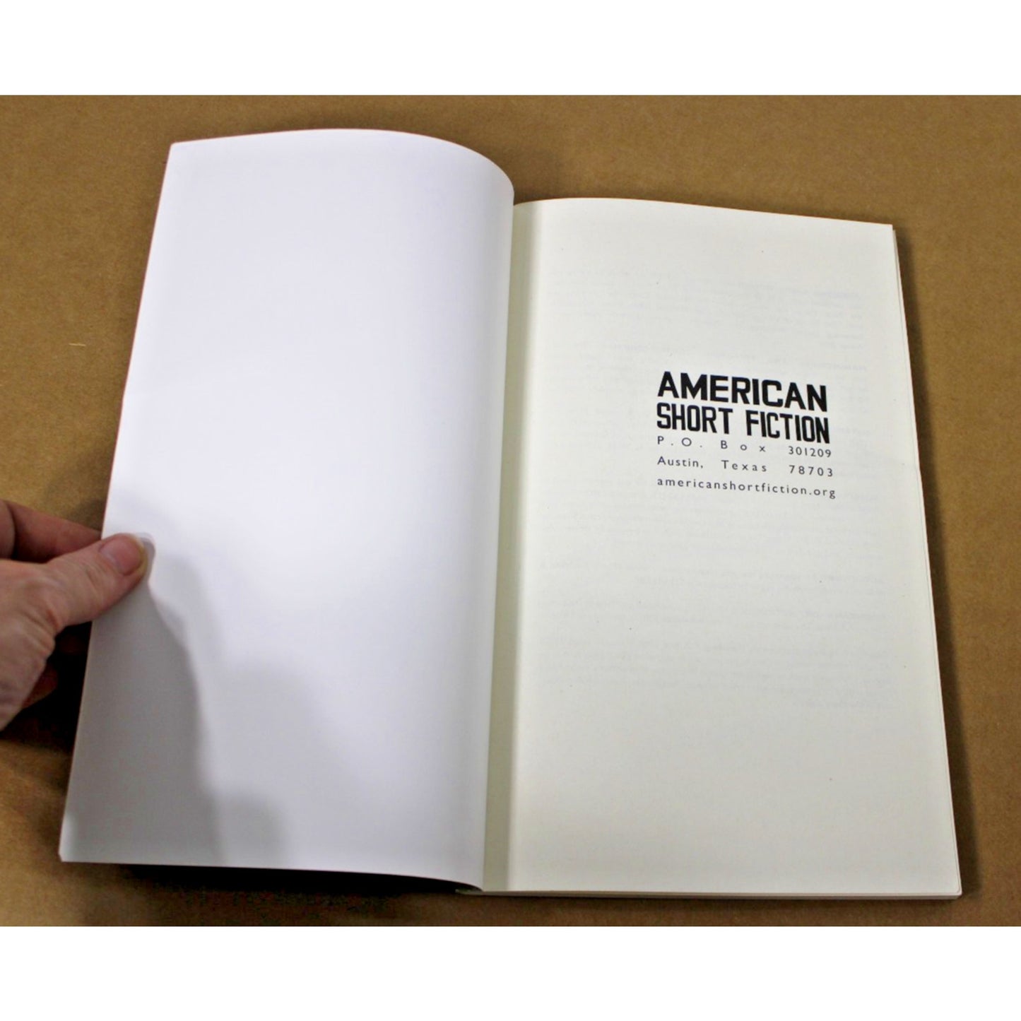 American Short Fiction Magazine Vol. 10 Issue 39 Fall/Winter 2007