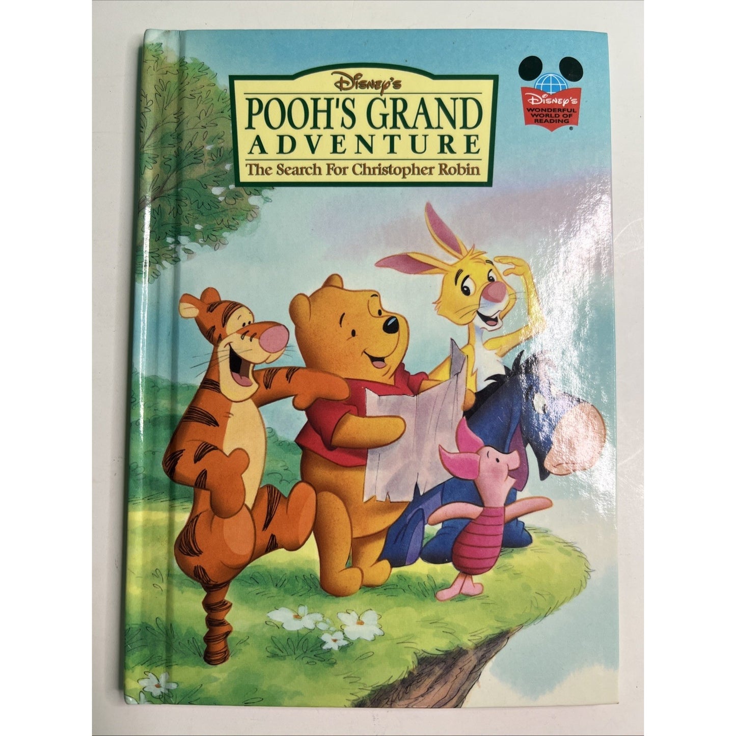 Disney's Pooh's Grand Adventure The Search for Christopher Robin Children’s Book