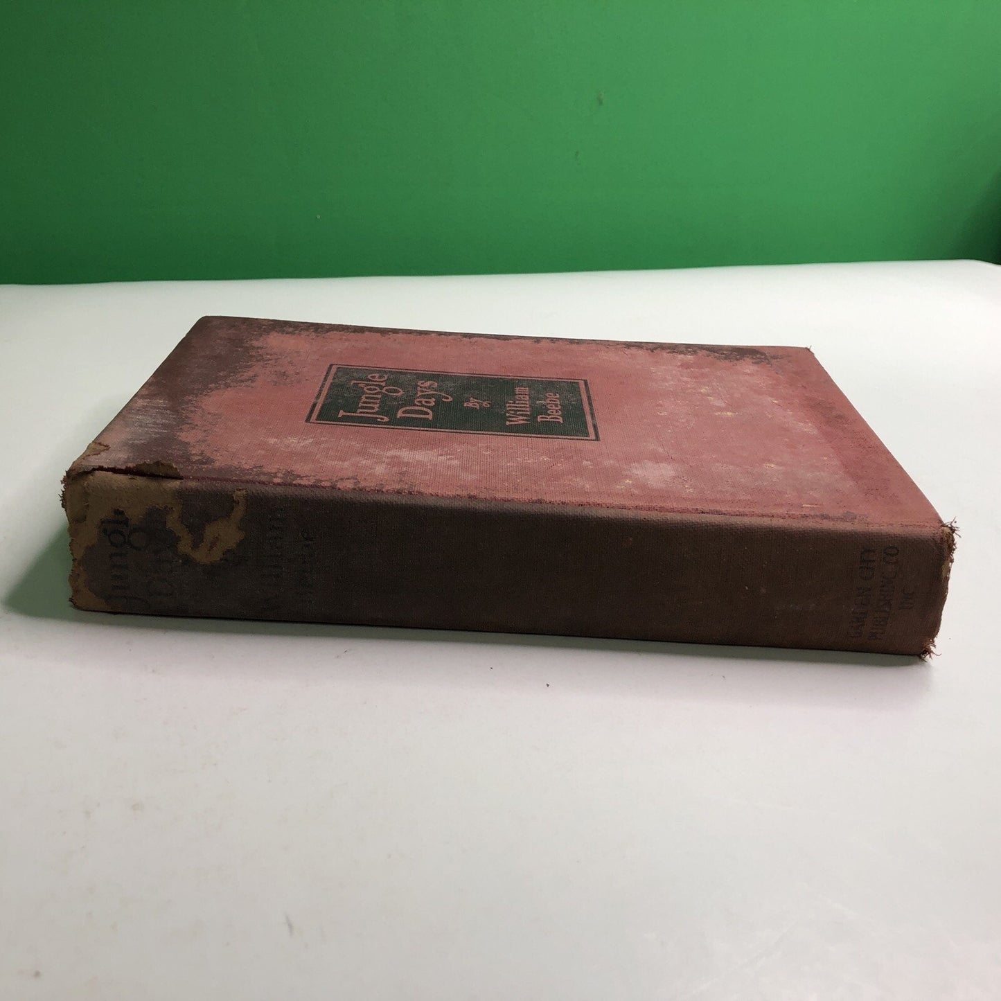 1925 Jungle Days by William Beebe Hardcover First Edition Illustrated