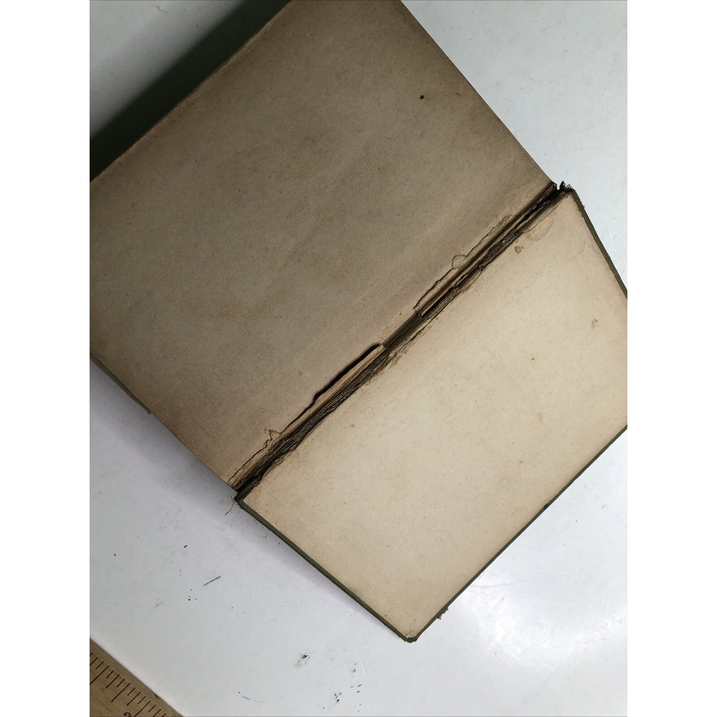 Caesar In Gaul D'Ooge And Eastman 1918 Hardcover Illustrated