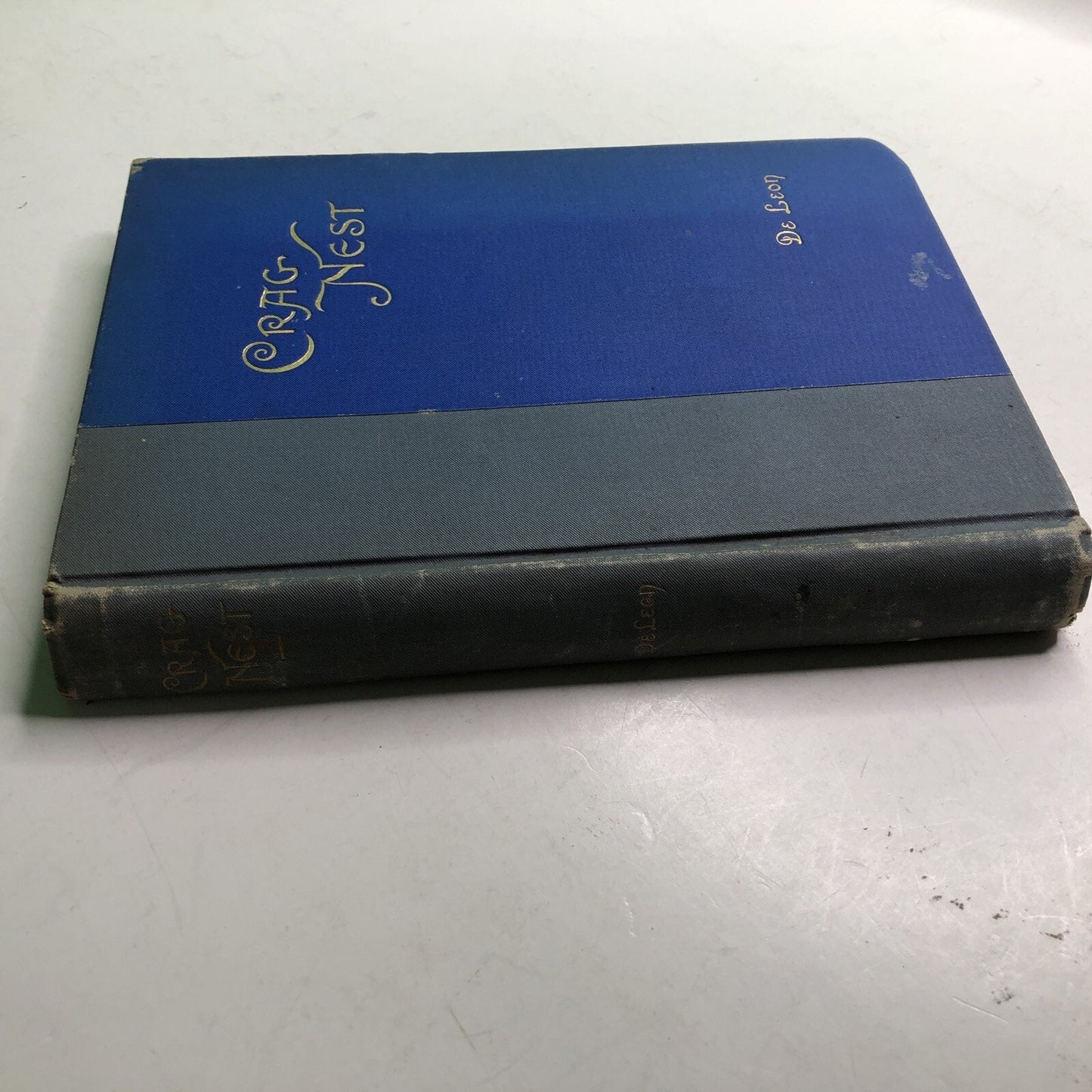 Crag Nest 1897 Romance Novel by TC DeLeon Mobile ALA Gossip Printing 1897 SIGNED