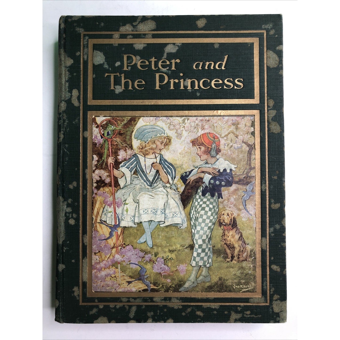 PETER AND THE PRINCESS by Carl H. Grabo Art by John R. Neill 1st Edition 1920 HC
