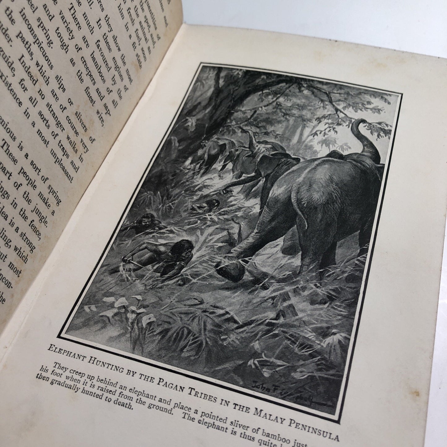 1908 The Romance Of Savage Life By G. F. Scott Elliot HC Antique Illustrated