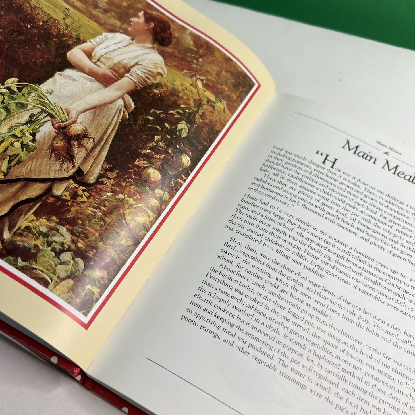 The Lark Rise Recipe Book by Mary Norwak 1992 Hardcover Dust Jacket