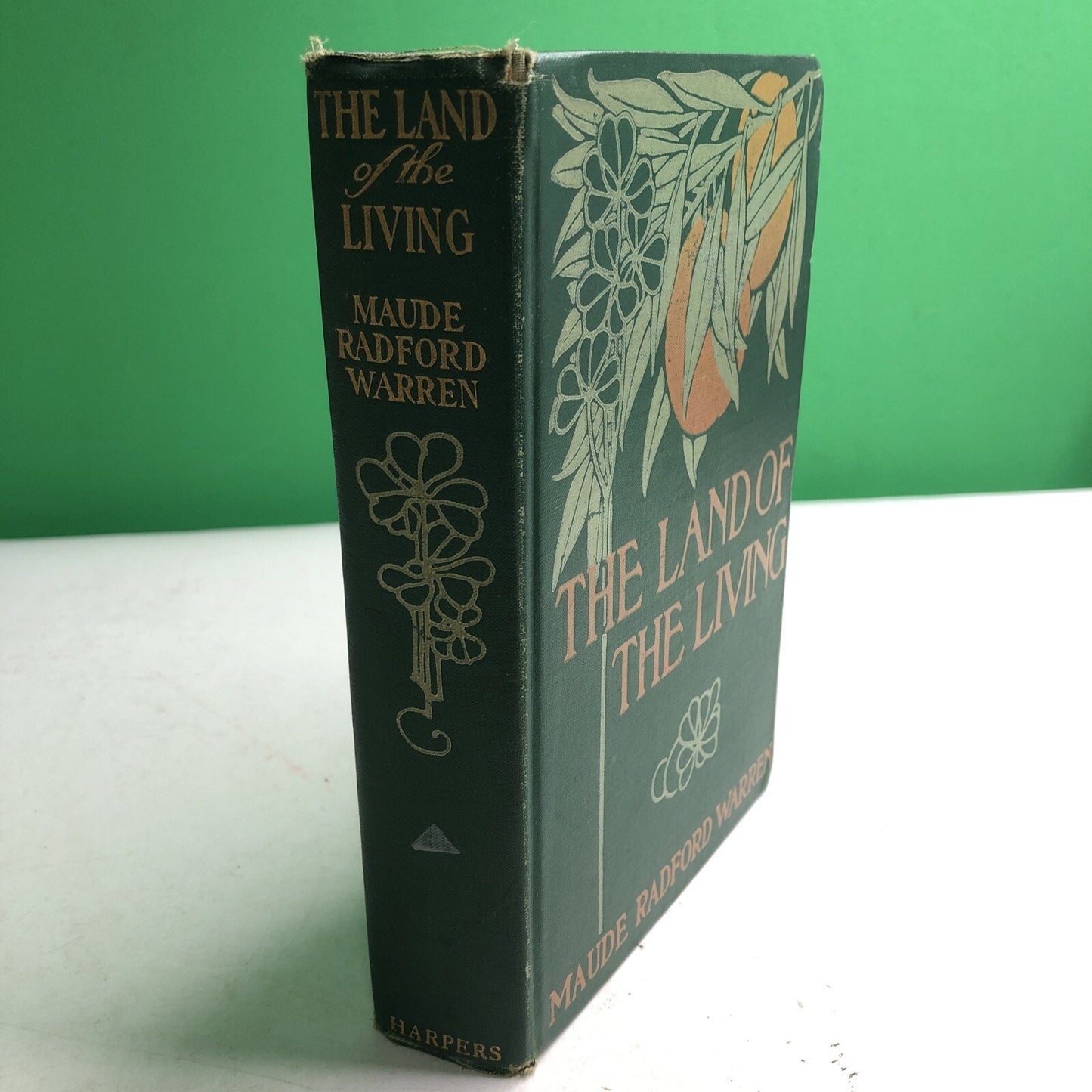 Land of the Living by MAUDE RADFORD WARREN FIRST EDITION 1908 HC Damage