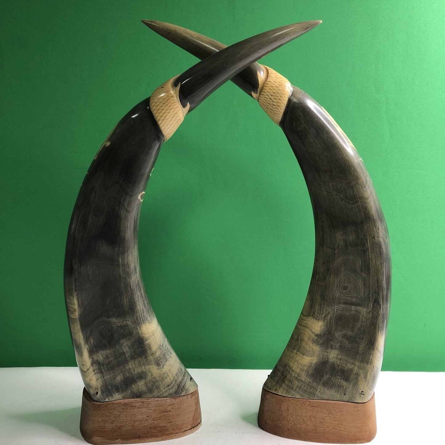 PAIR OF Large WATER BUFFALO HORNS CARVED WITH DRAGON & PHOENIX FENG SHUI