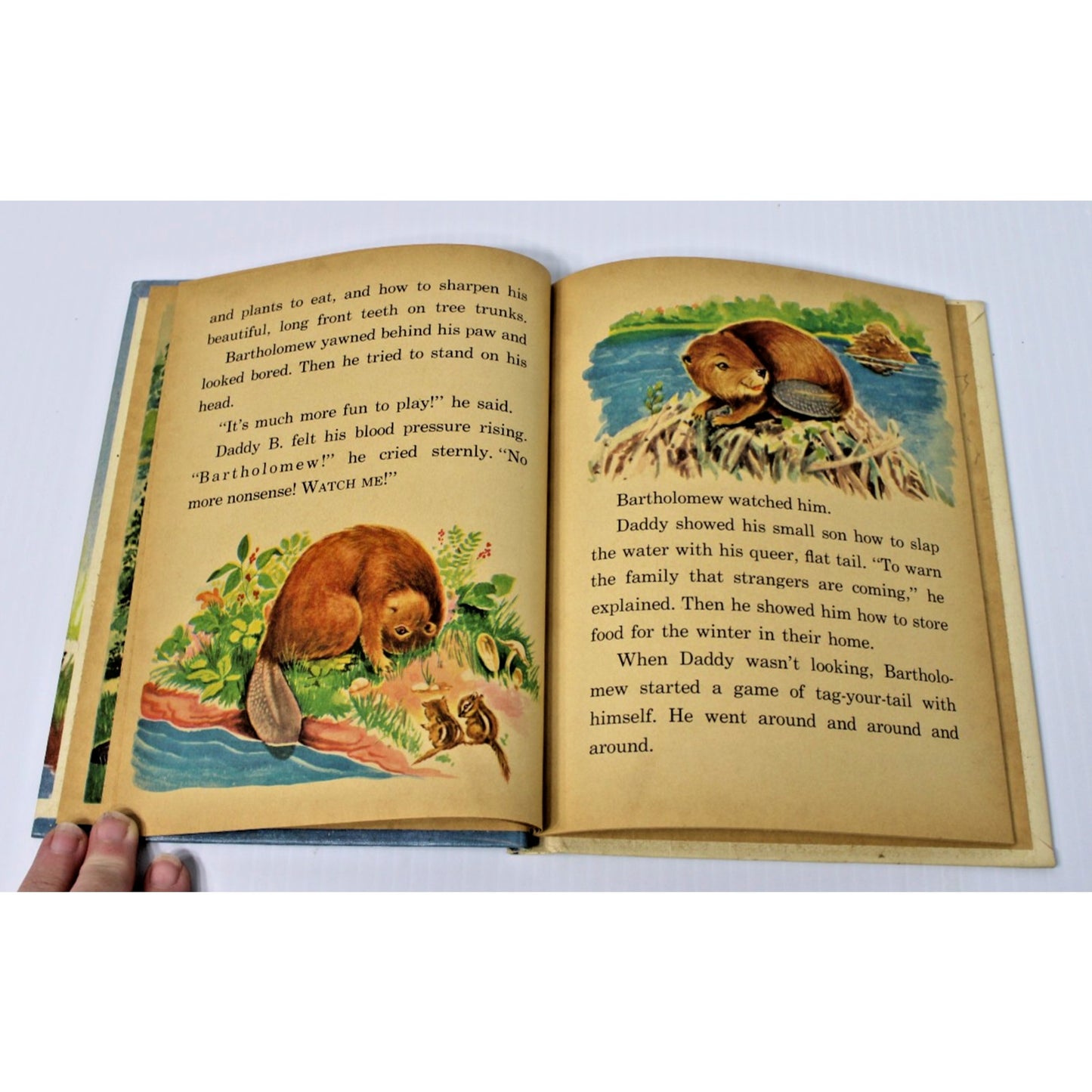 Rare 1952 Junior Elf Book- Bartholomew the Beaver by Ruth Dixon, Rand McNally