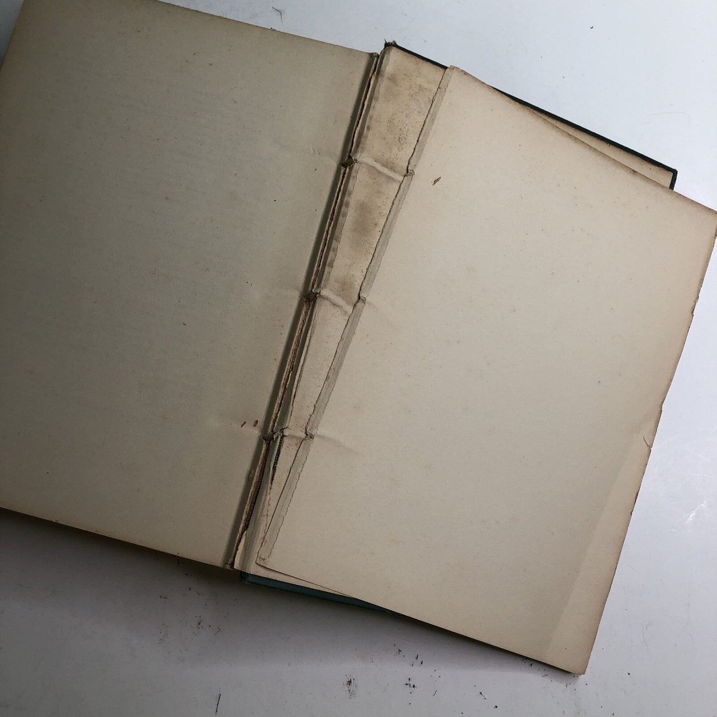 The Collected Writings of Hermann August Seger Volume 2 1903 Original