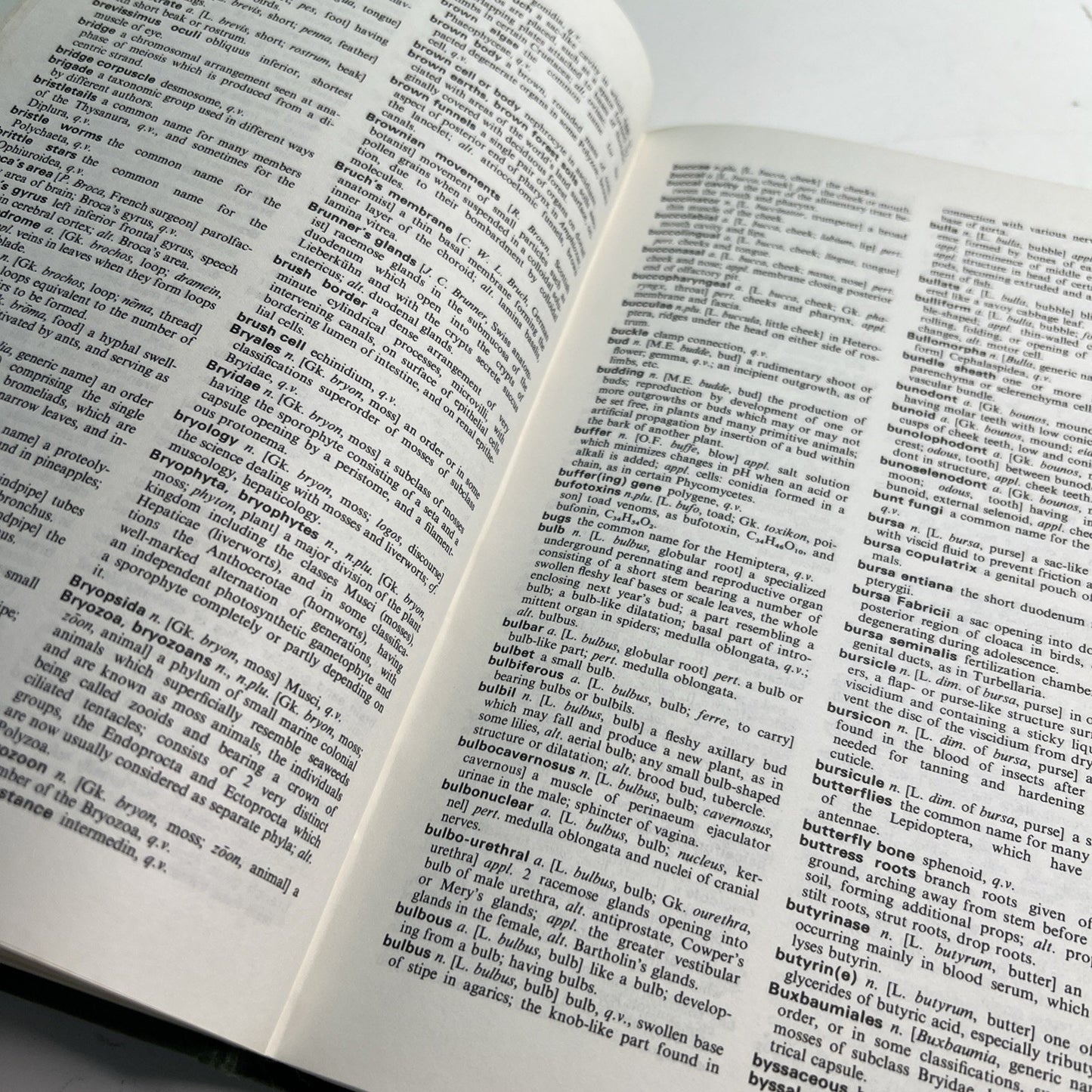Henderson’s Dictionary of Biological Terms 9th Edition By Sandra Holmes HC 1979