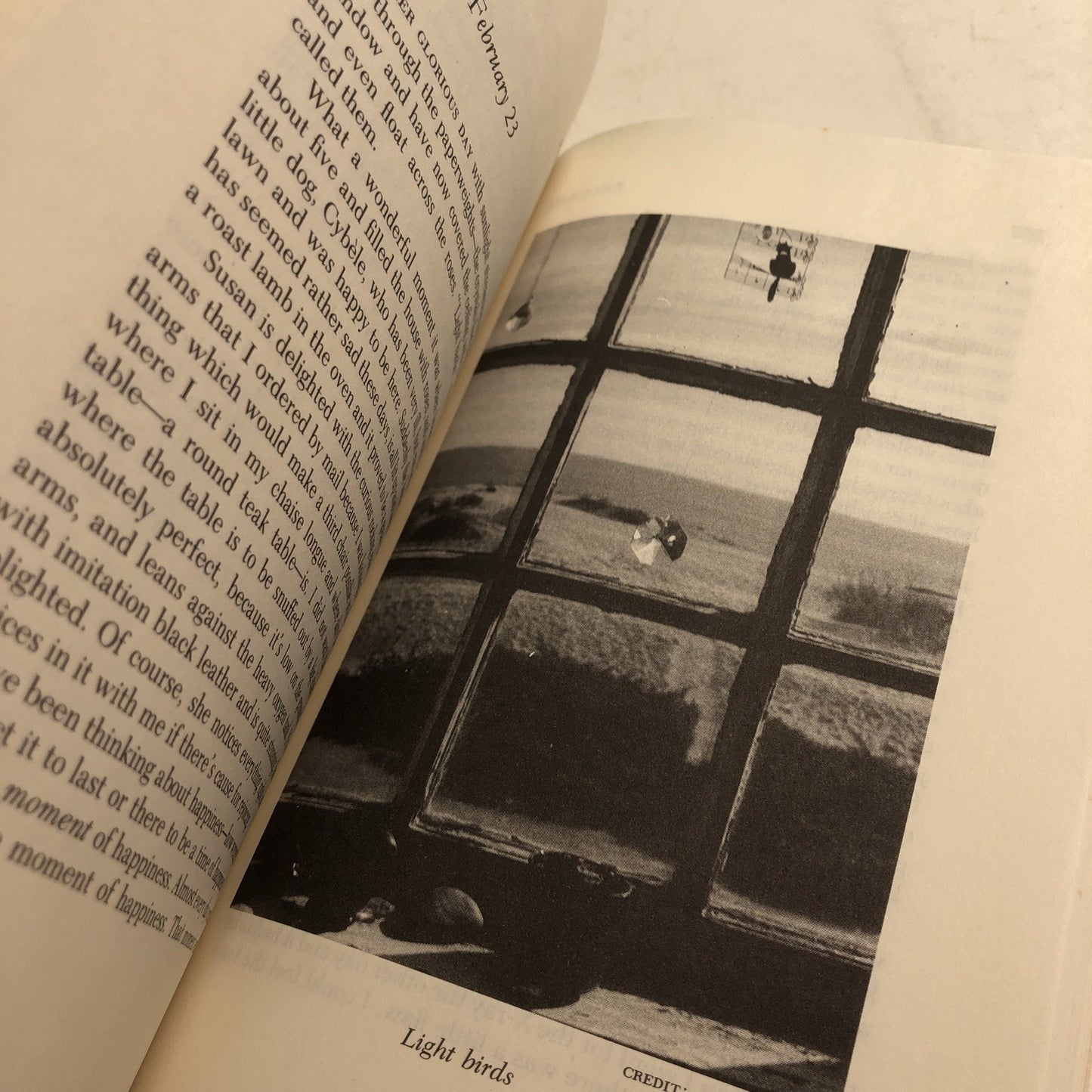 Endgame : A Journal of the Seventy-Ninth Year by May Sarton 1992 PB Illustrated