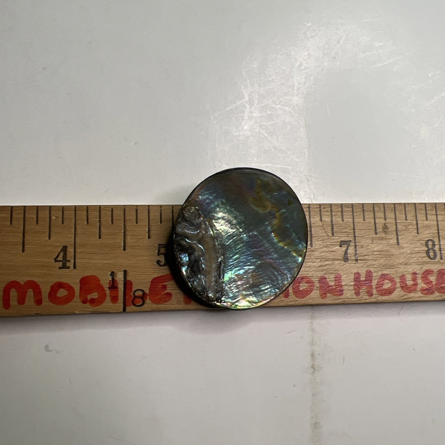 Antique Abalone Brooch Pin Brilliant Colors 1.5” Diameter