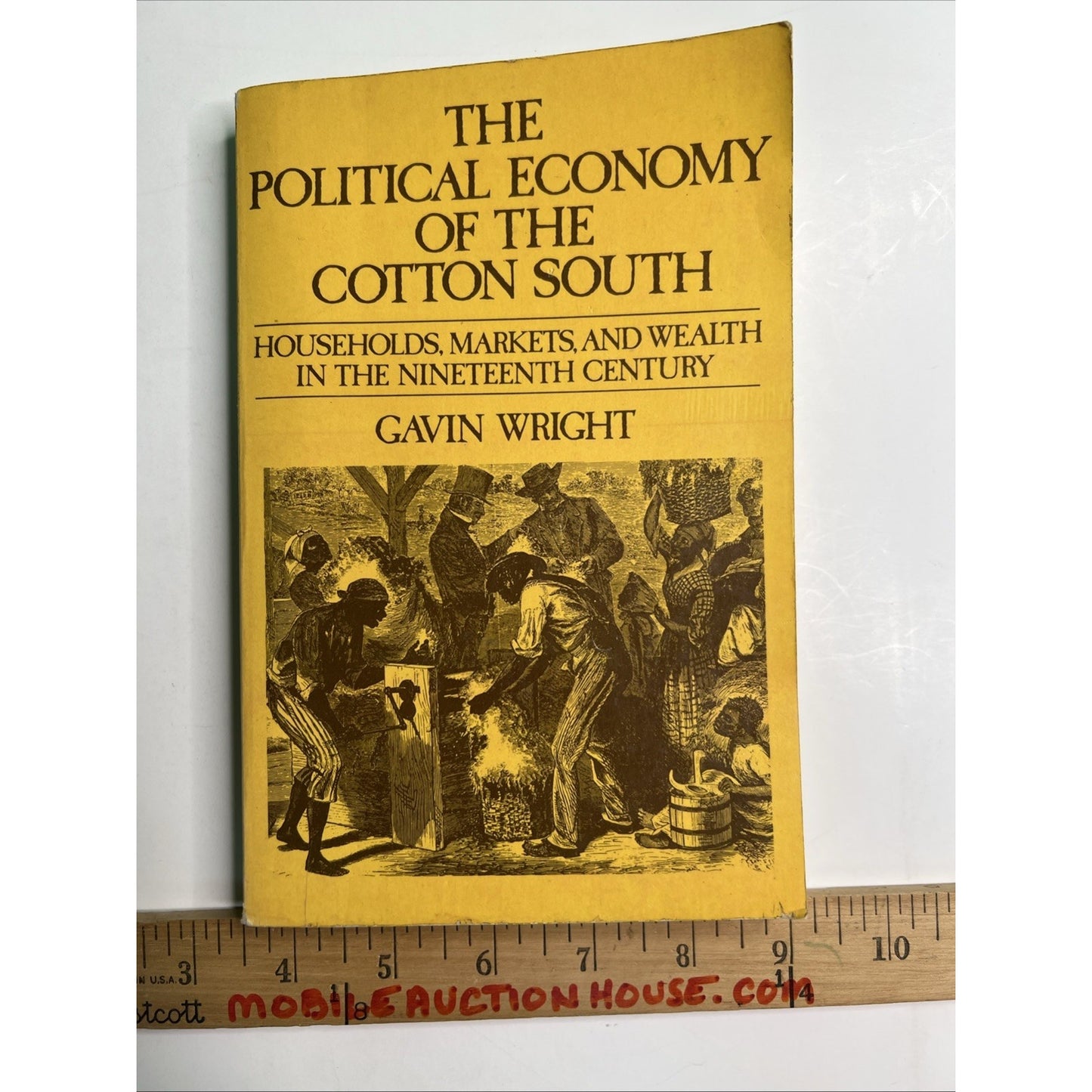 The Political Economy of the Cotton South by Gavin Wright 1978 Softcover 1st Ed