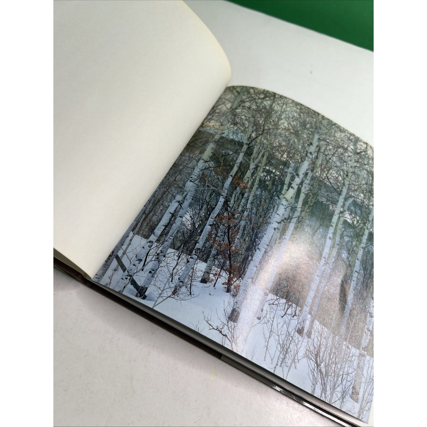 Colorado Aspens Photography and Words by John Fielder HC DJ 1984