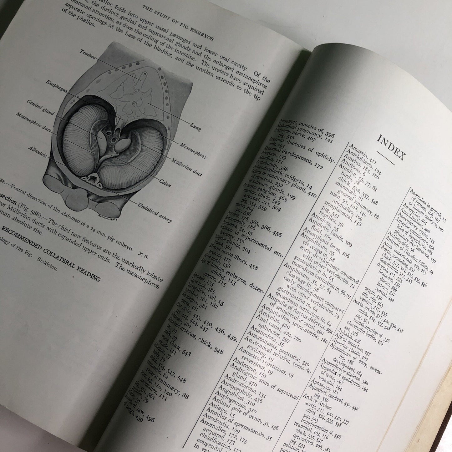 Developmental Anatomy by Leslie Brainerd Arey 5th Ed. 1950 Textbook Embryology