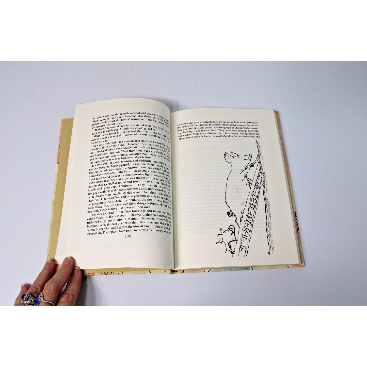 George Orwell: Animal Farm, London Folio Society Edition, Slipcase 1984 Printing