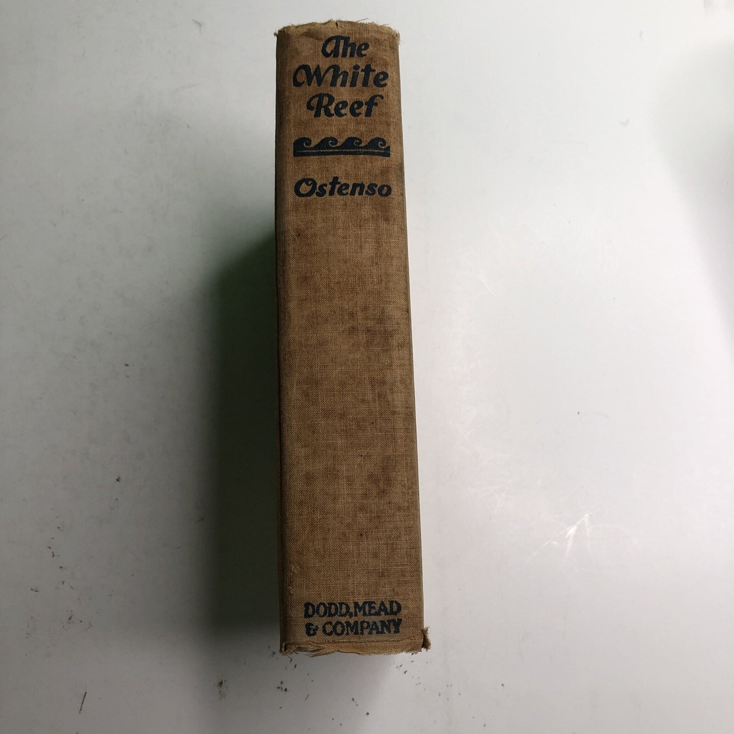 The White Reef by Martha Ostenso Hardcover Book 1934 US Edition