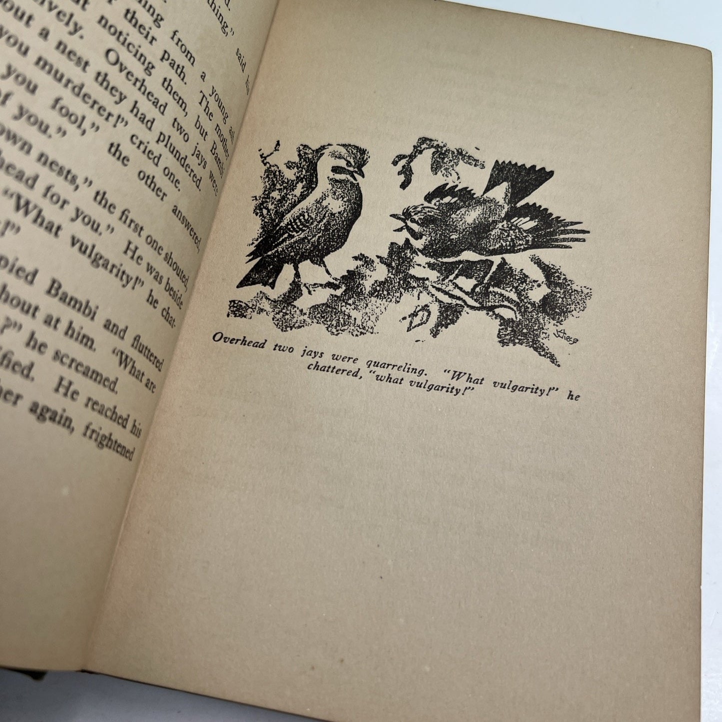 BAMBI A Life in the Woods by Felix Salten First 1st Edition 1929 First Print HC