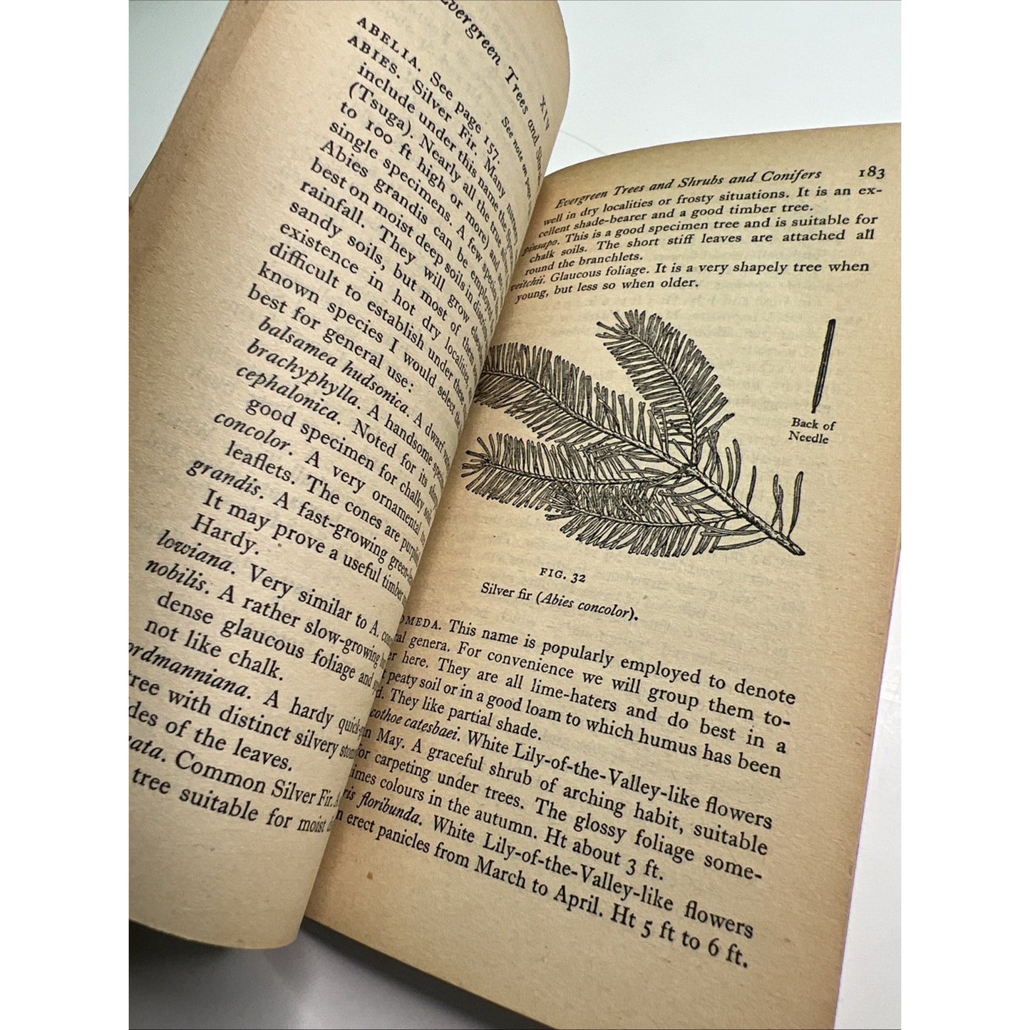 Trees and Shrubs 1951 PB by W. H. Rowe Illustrated