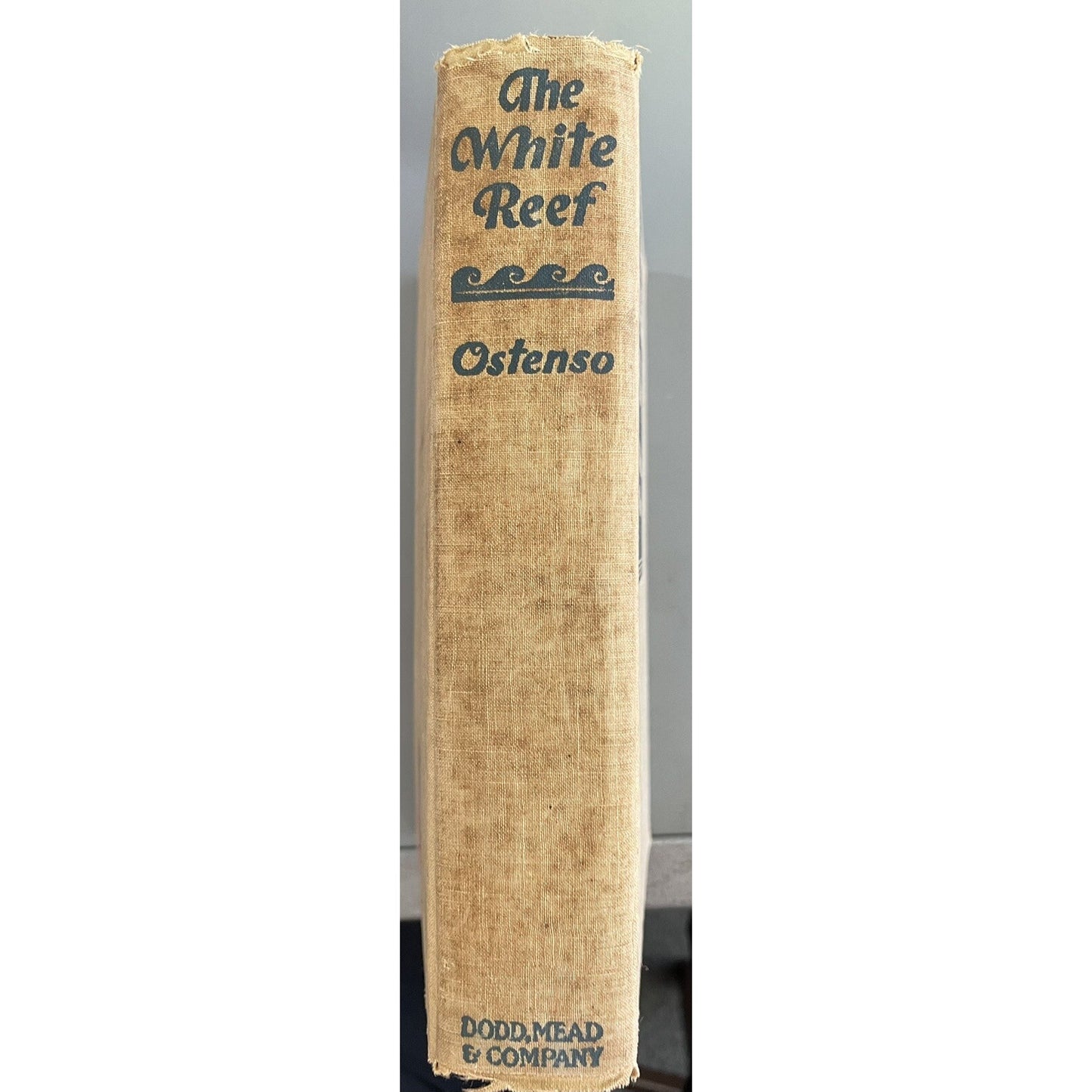 The White Reef by Martha Ostenso Hardcover Book 1934 US Edition