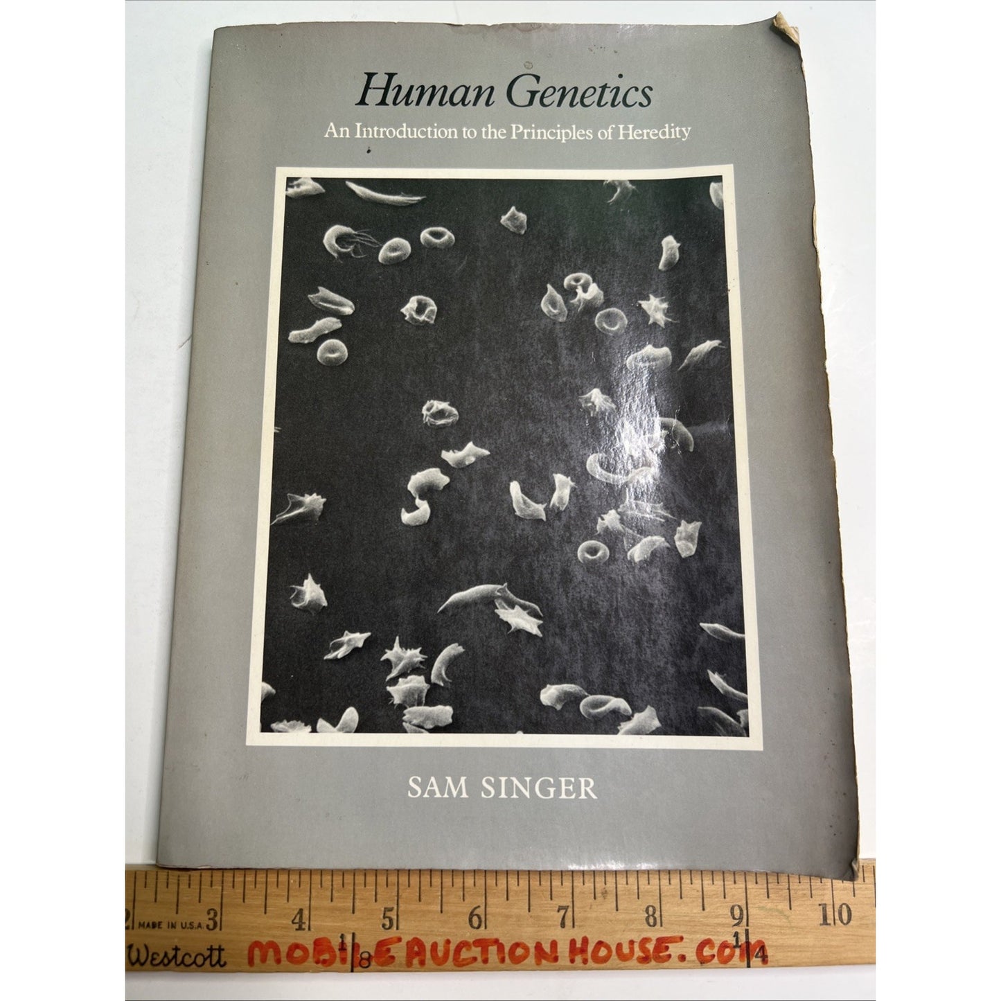 1978 PB Human Genetics Principles Of Heredity by Sam Singer