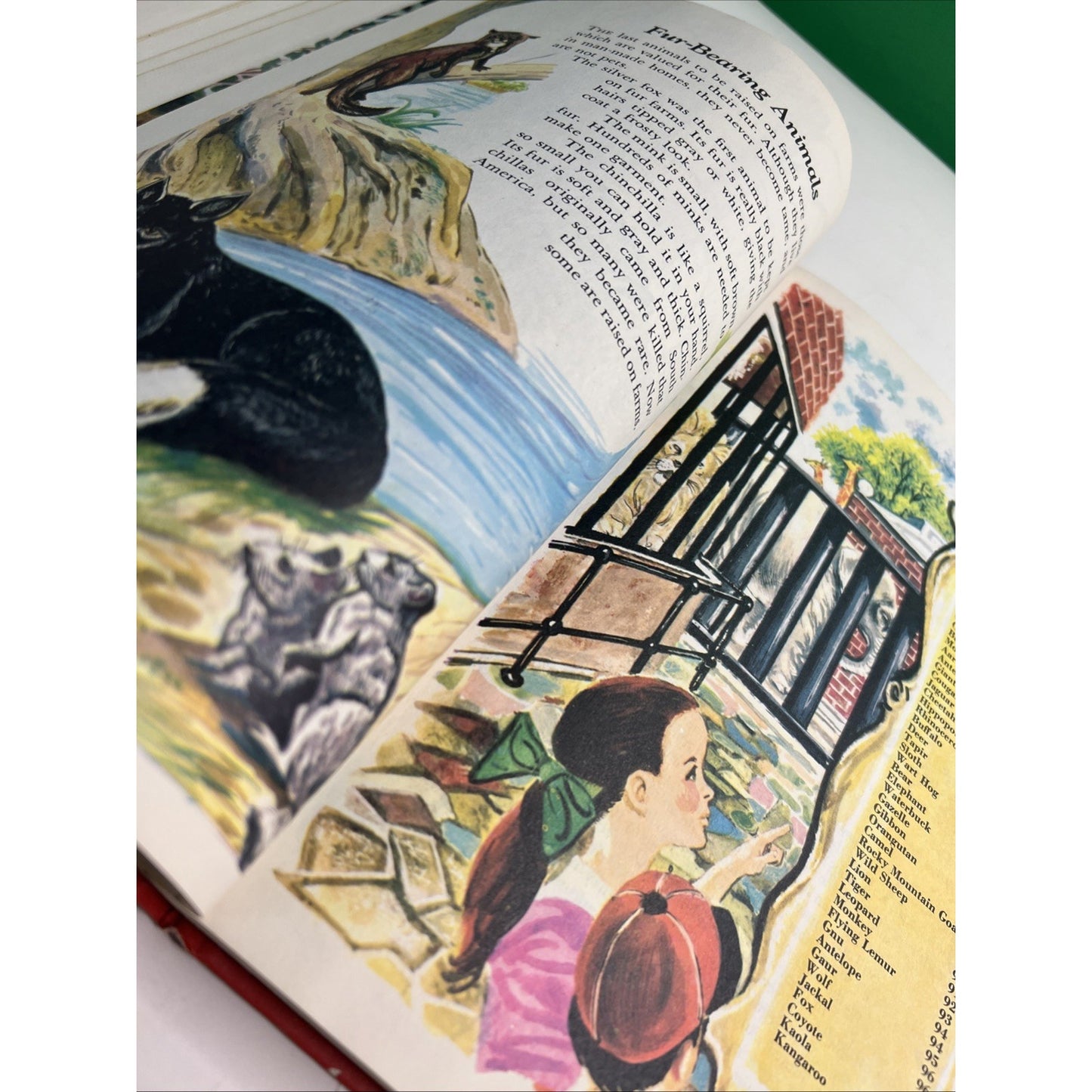 Wonders of Nature A Child's Introduction - Parents Magazine 1974 HC Illustrated