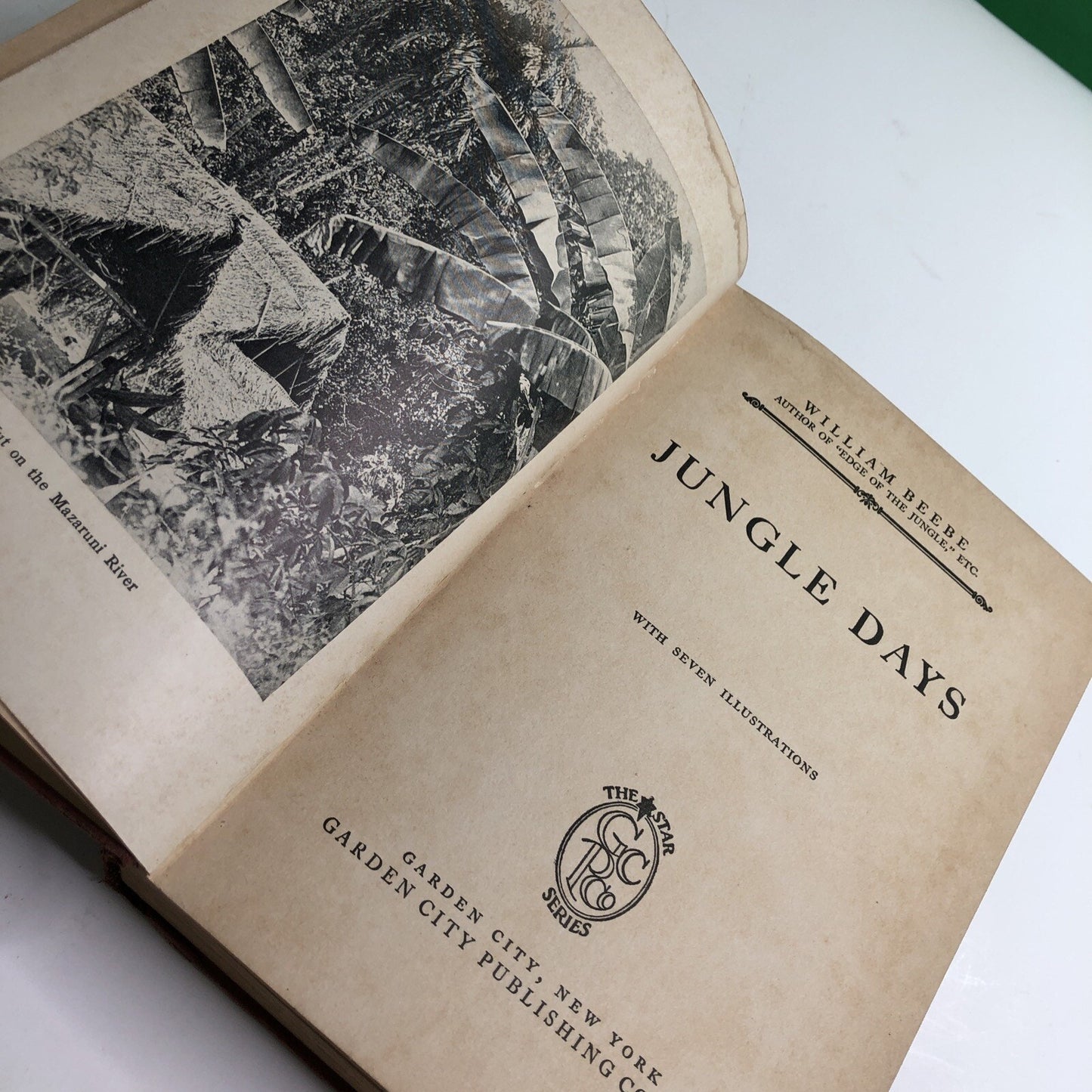 1925 Jungle Days by William Beebe Hardcover First Edition Illustrated