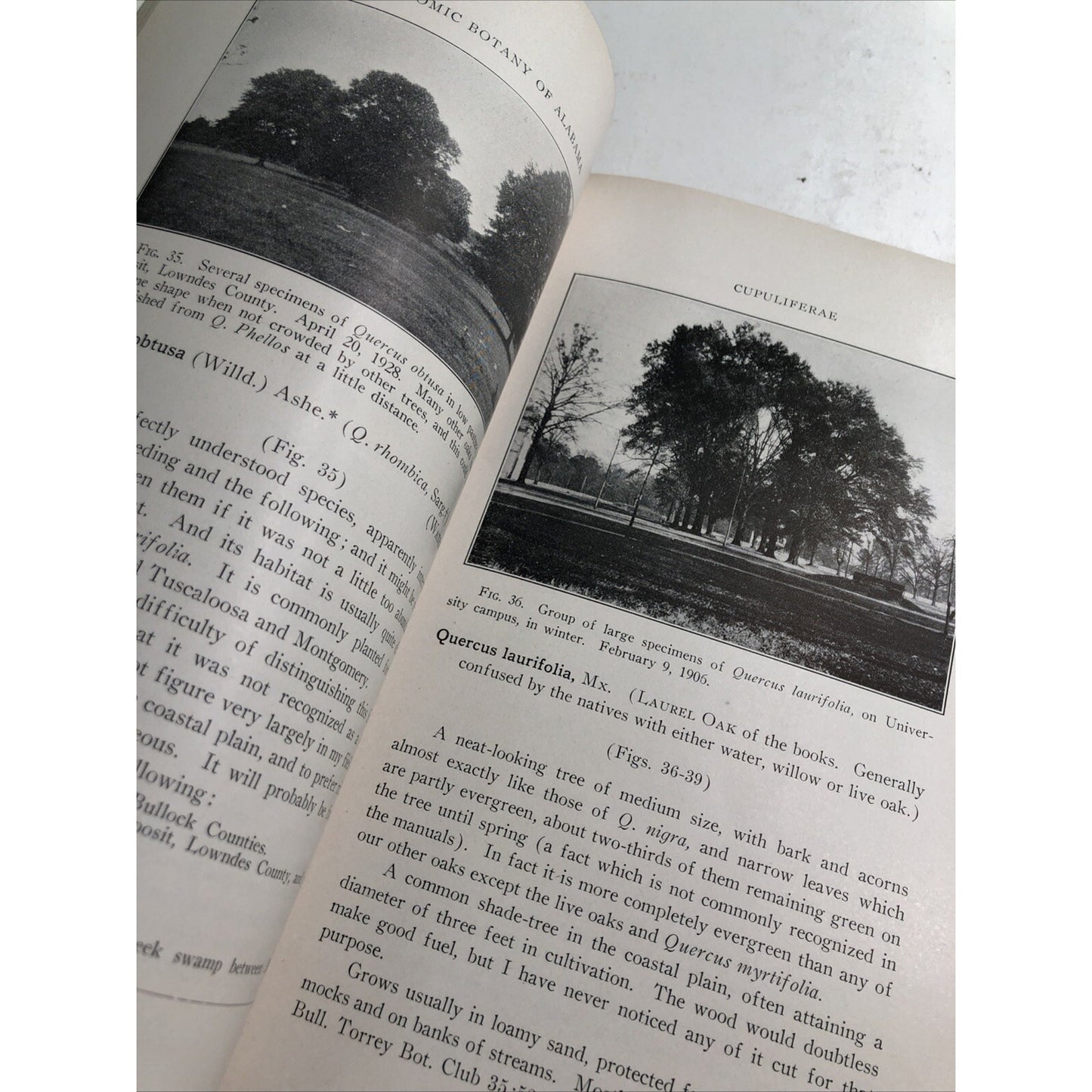 Economic Botany of Alabama Monograph 9 Part 2 By Roland M Harper 1928 University