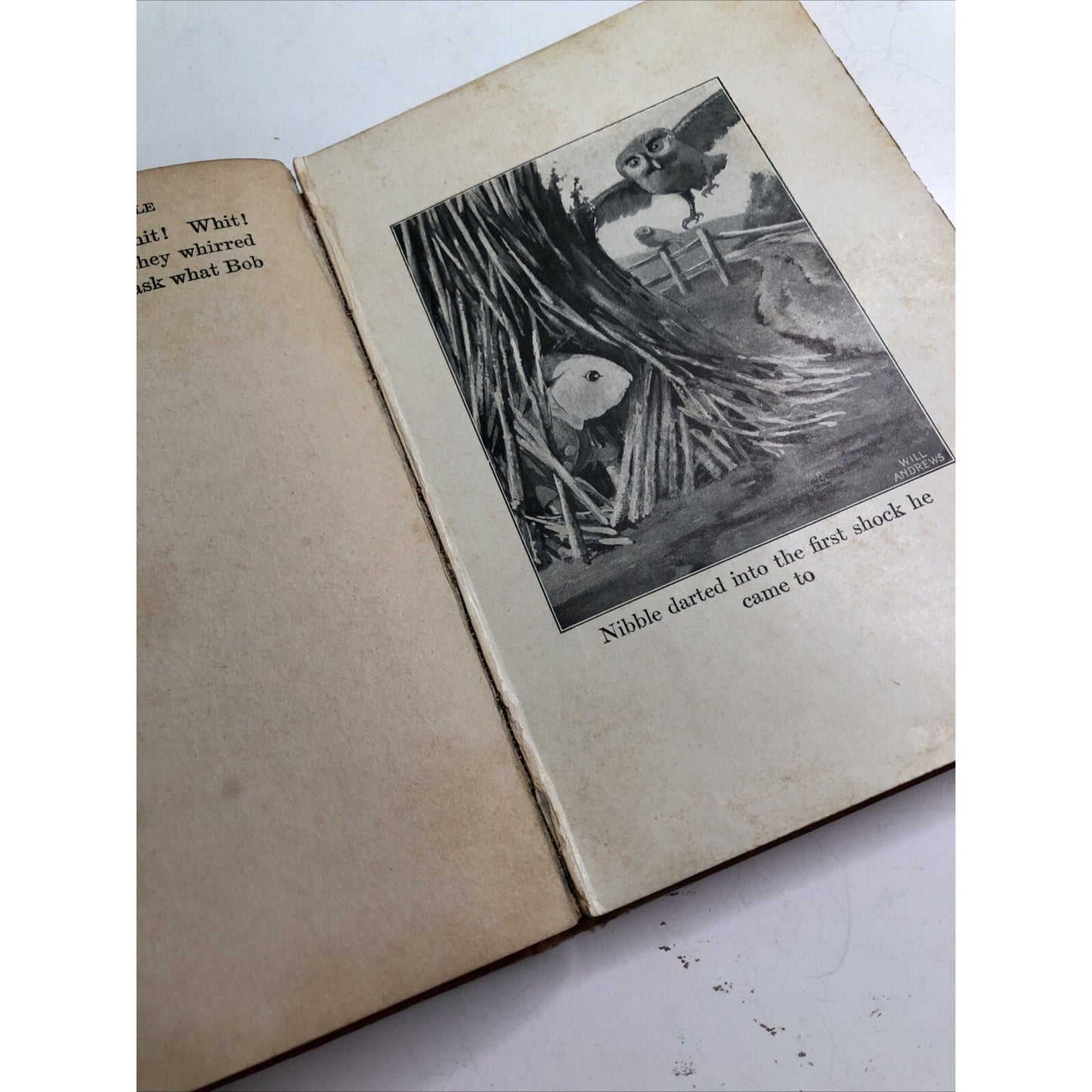 Told at Twilight Stories Mostly About Nibble The Bunny 1923 1st Edition By Breck