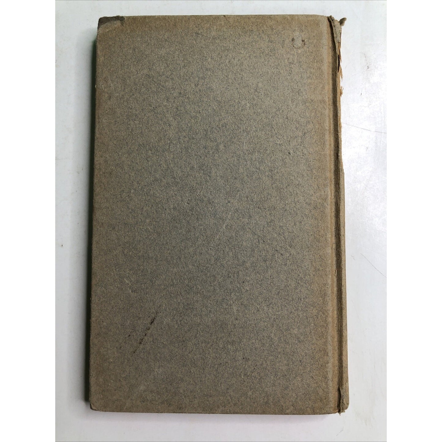 Bjornstjerne Bjornson 1832-1910 by William Morton Payne Published 1910 1st Ed.