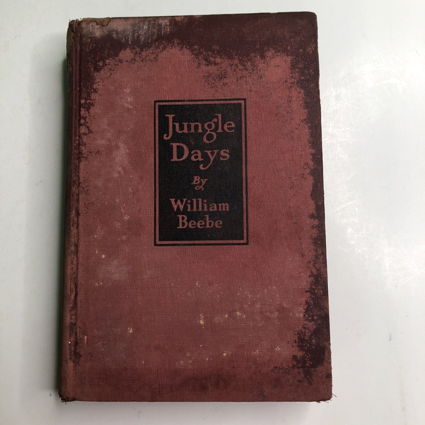 1925 Jungle Days by William Beebe Hardcover First Edition Illustrated