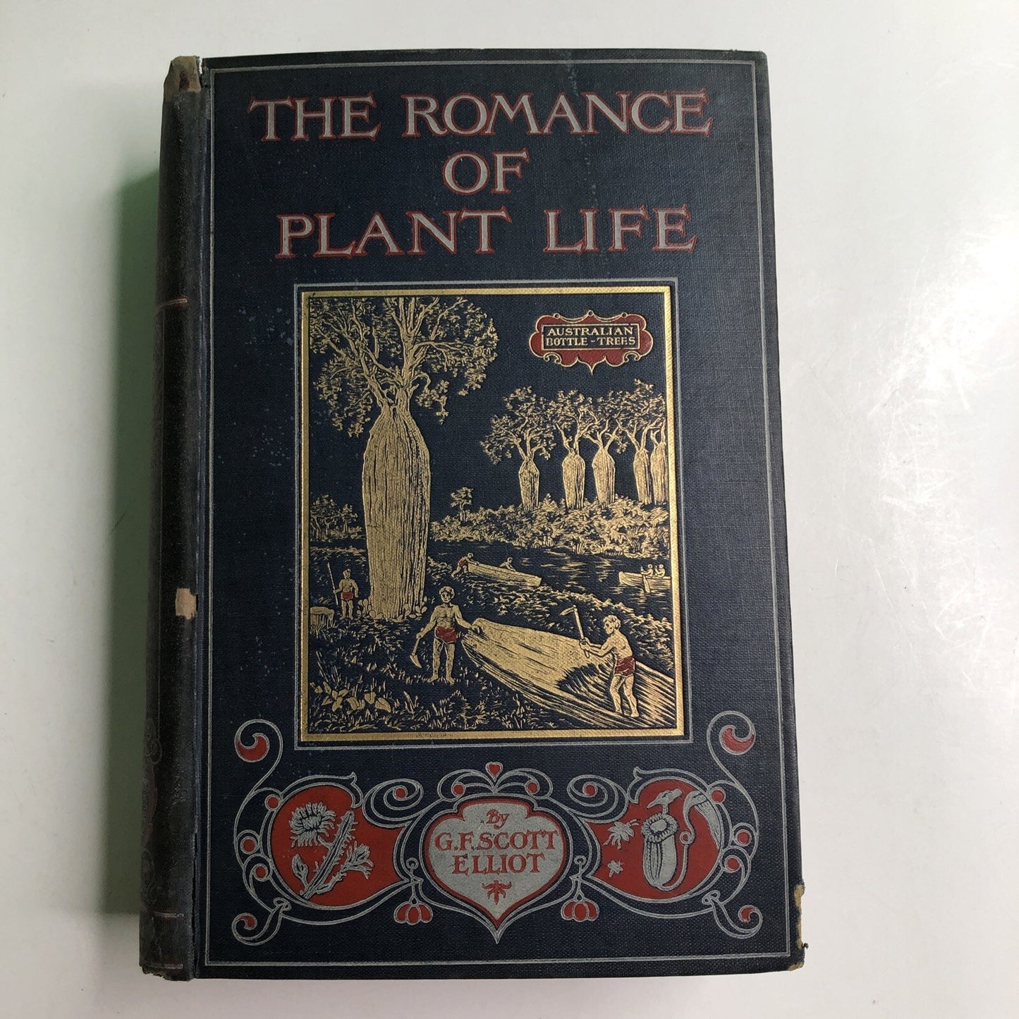 1910 1st Edition Romance of Plant Life By G. F. Scott Elliot HC Illustrated