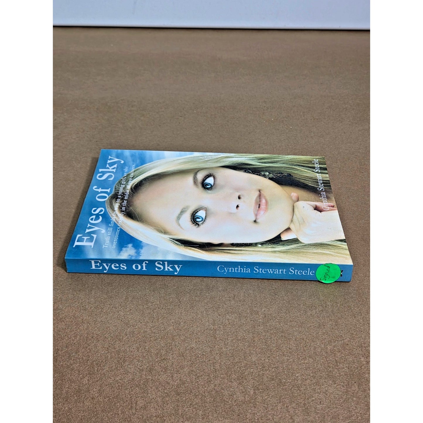Eyes of Sky by Cynthia Stewart Steele - SIGNED Christian Western Romance OOP
