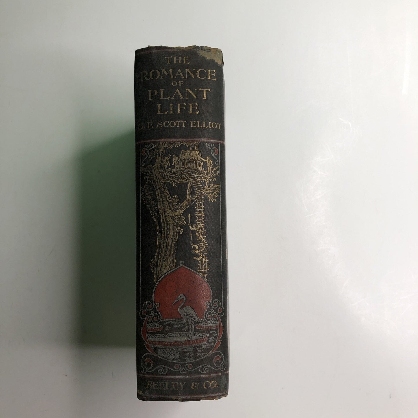 1910 1st Edition Romance of Plant Life By G. F. Scott Elliot HC Illustrated