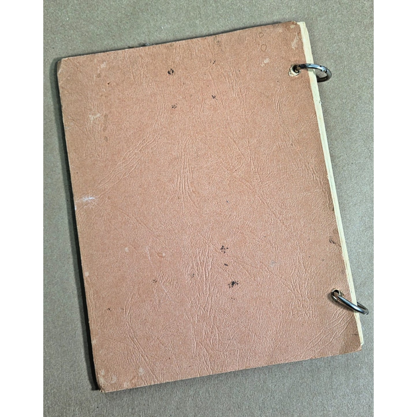 1930 Pet Milk Recipes Cookbook - Rare 1st Ed Ring-Bound Advertising History