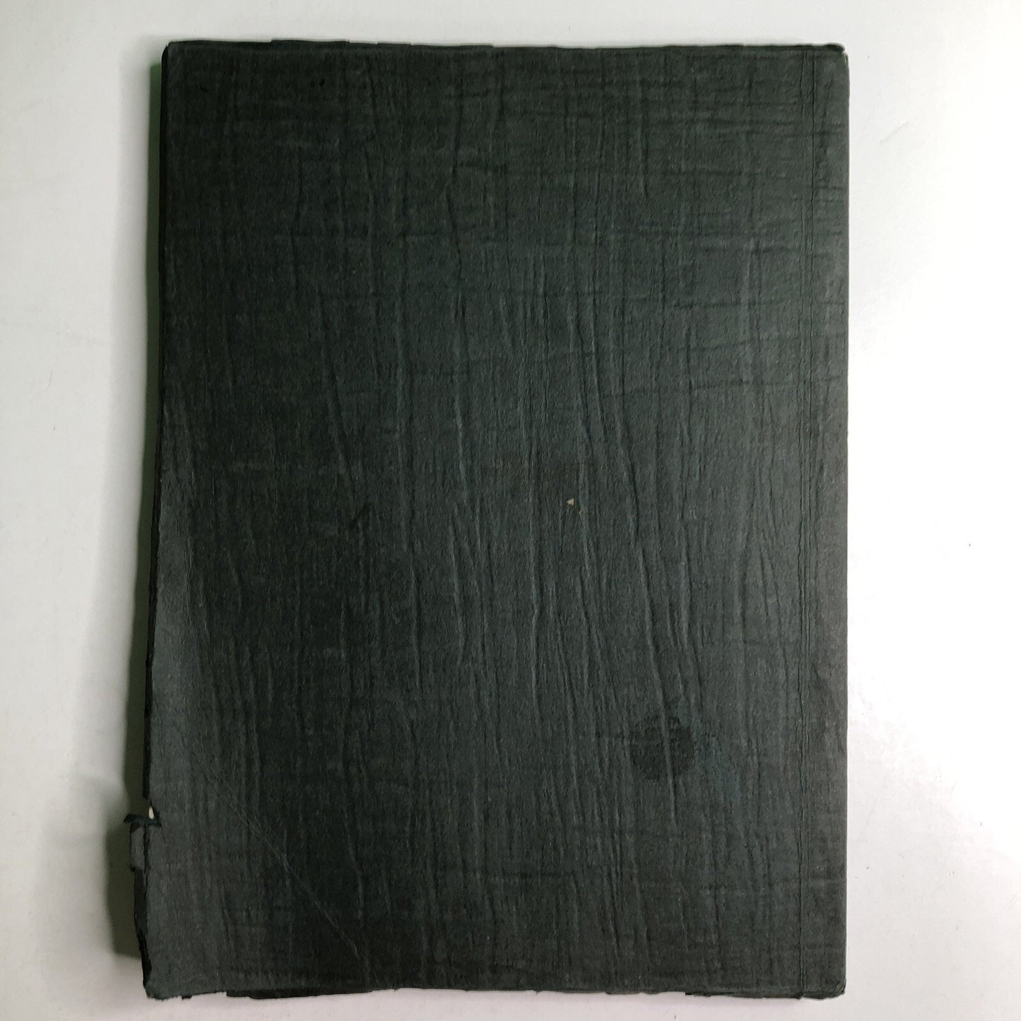 1925 BARTONIAN Yearbook Mobile High School Alabama Local History Barton Academy