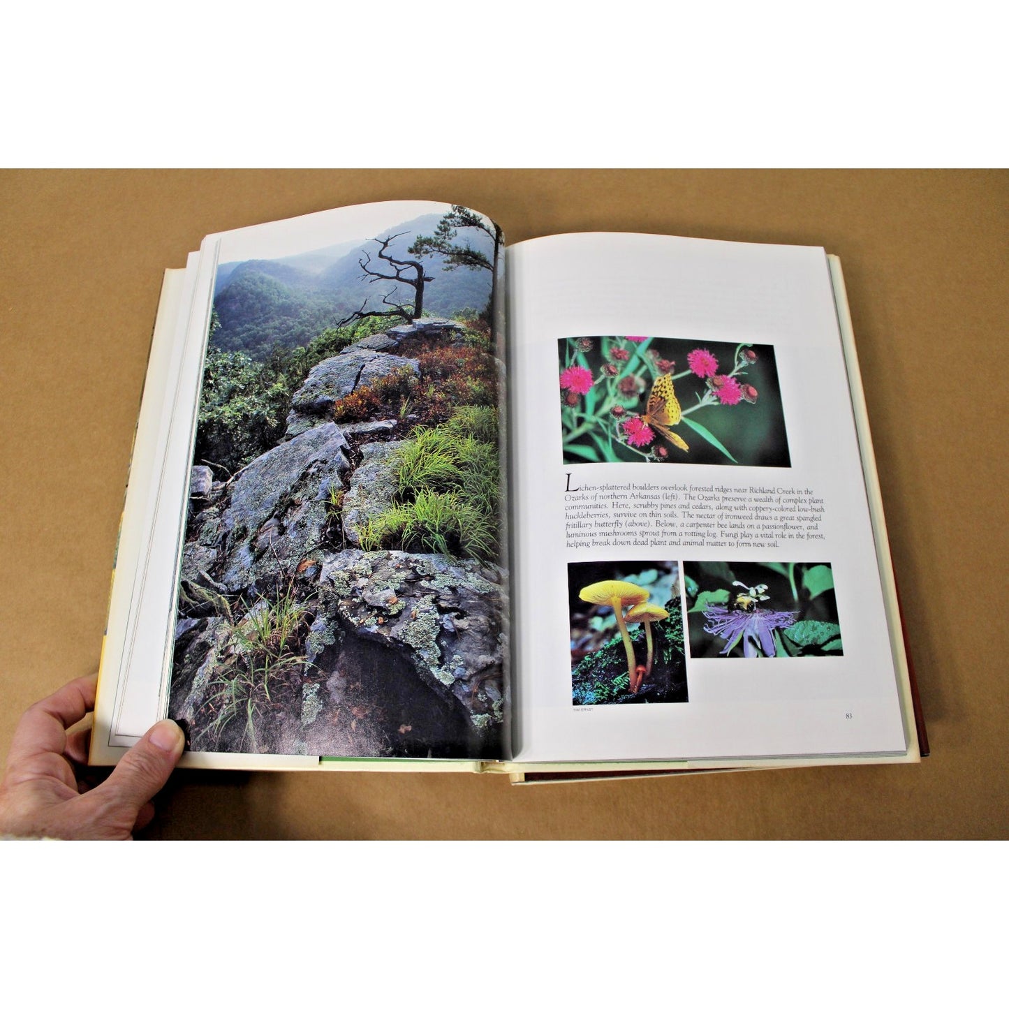 Lot of 3 National Geographic Books: America's Woodlands, Valleys, and Wetlands