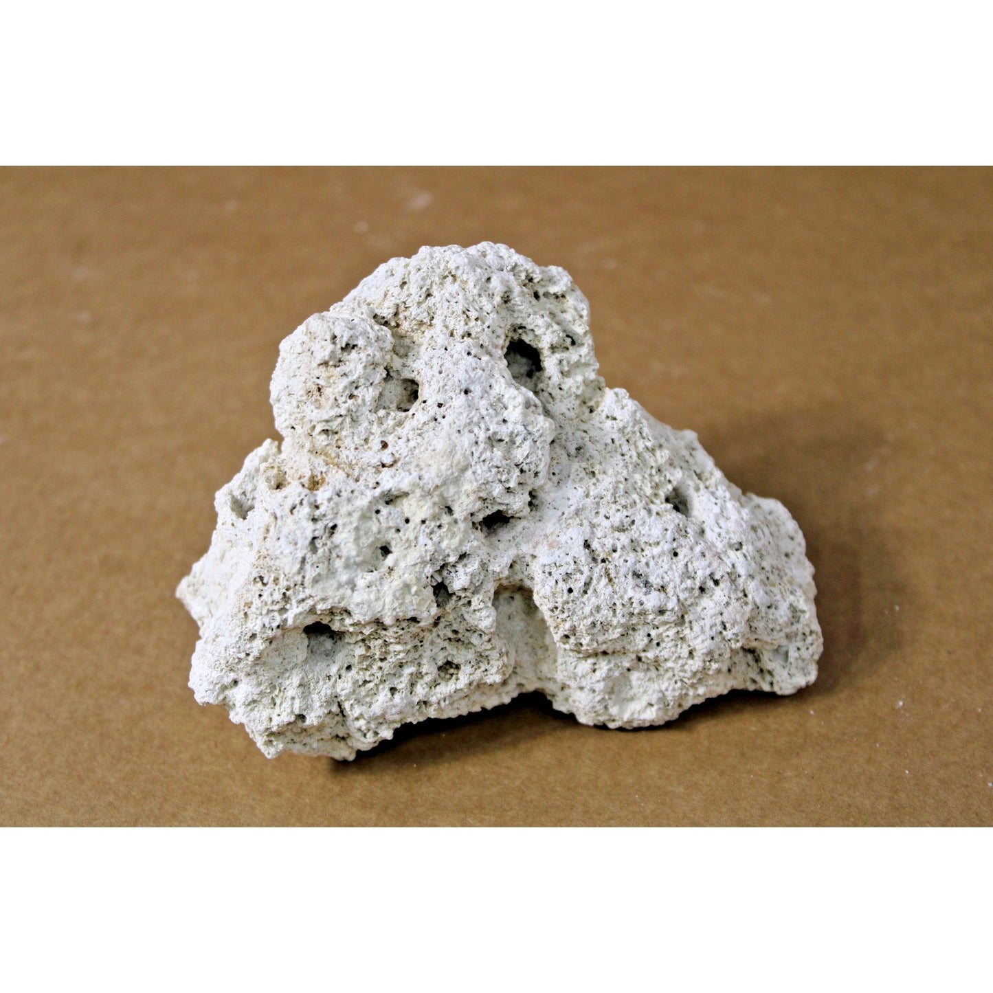 Biotite Mica in Volcanic Andesite Geologic Specimen, 6" x 5" x 3.5", 12 oz