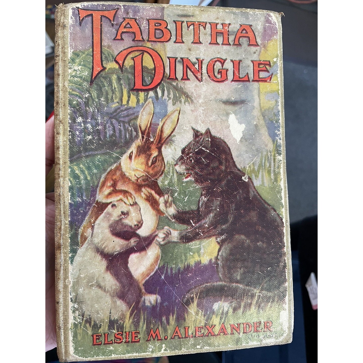 Tabitha Dingle by Elsie M. Alexander 1928 Illustrated FREE SHIPPING