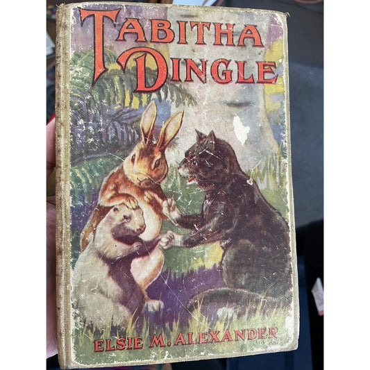 Tabitha Dingle by Elsie M. Alexander 1928 Illustrated FREE SHIPPING