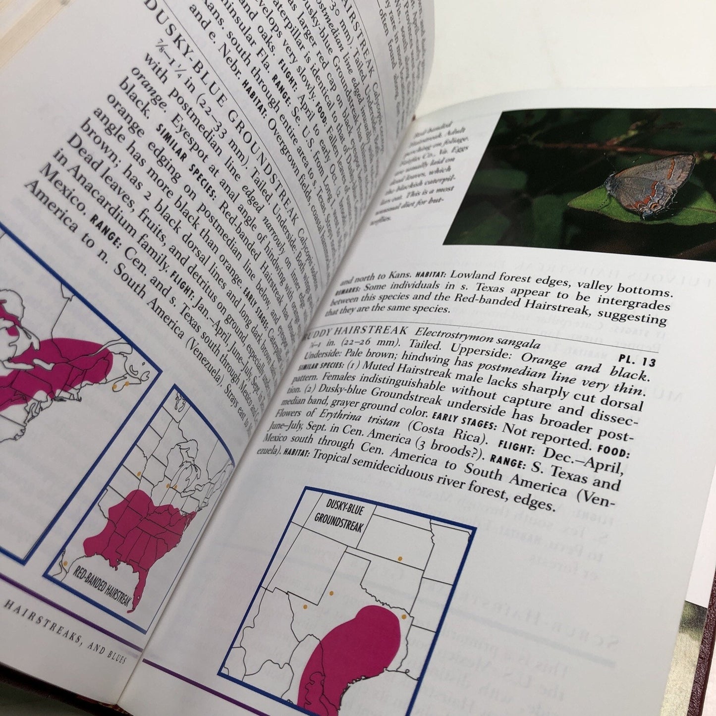 Roger Tory Peterson Field Guides: EASTERN BUTTERFLIES HC Leather Bound Bookplate