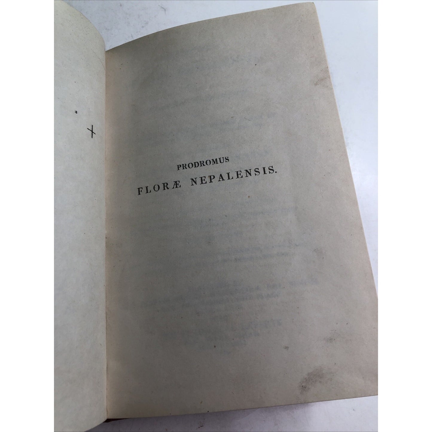 Prodromus Florae Nepalensis by D. D. Franciscus Hamilton & David Don 1825 HC