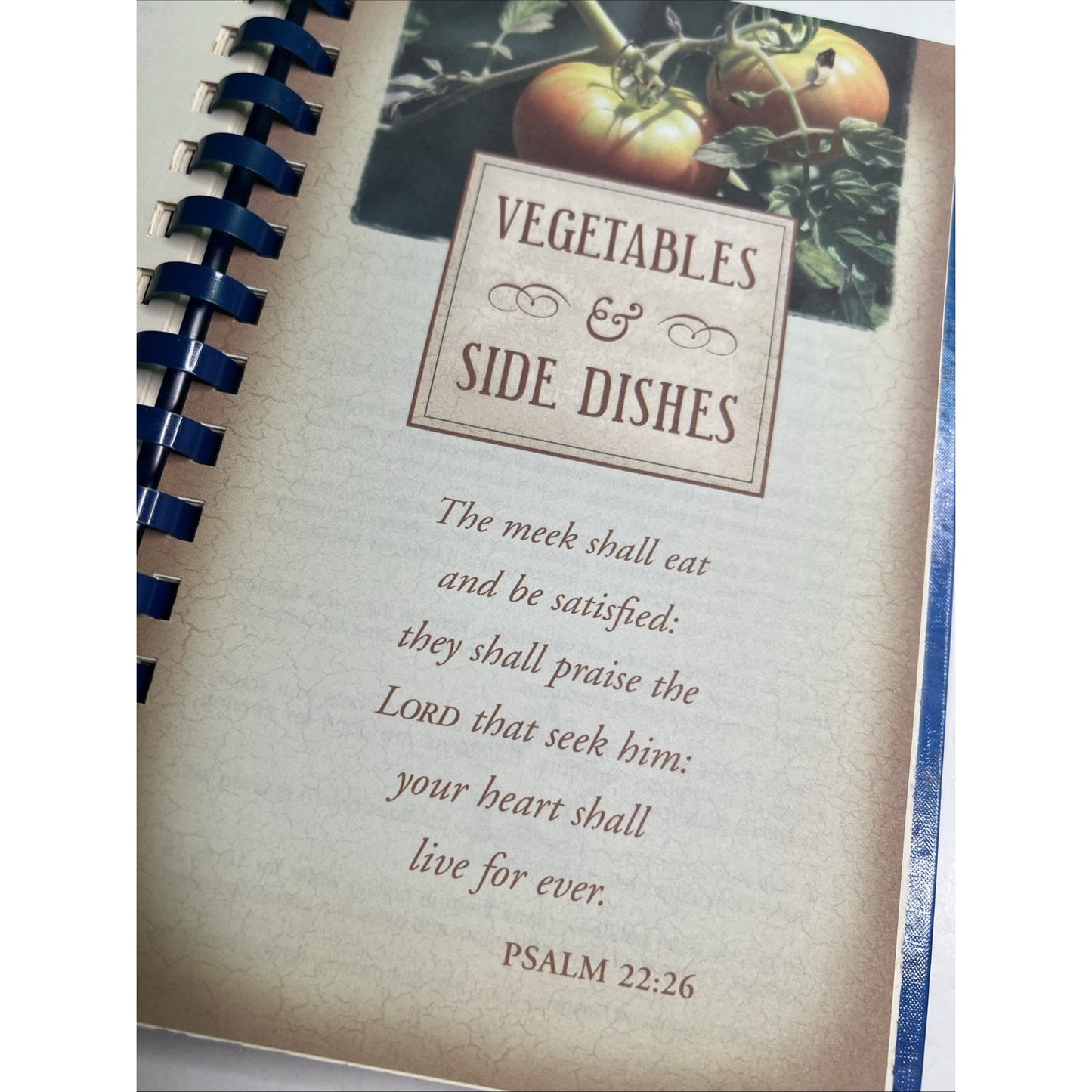 Heavenly Delights First Baptist Church 100 Year Anniversary Sample Cookbook Vtg