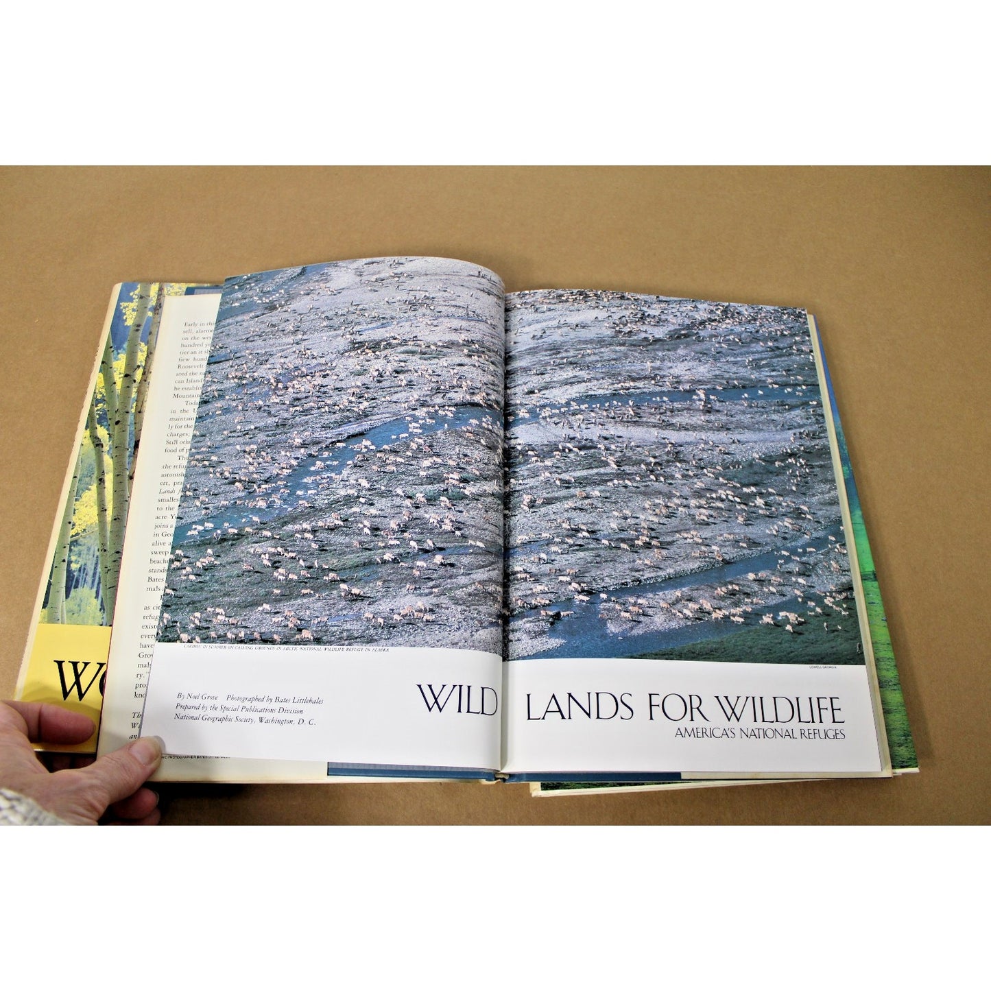 Lot of 3 National Geographic Books: America's Woodlands, Valleys, and Wetlands