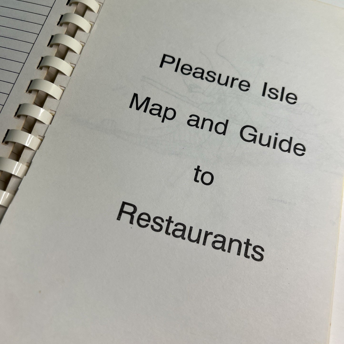 Cookbook & Restaurant Guide Pleasure Isle Gulf Shore Alabama Recipes 1989 Book
